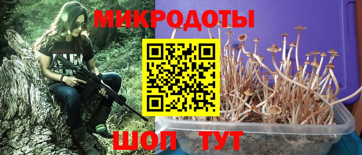 продажа наркотиков  Вход с VPN  Россошь  Галлюциногенные грибы Psilocybe 